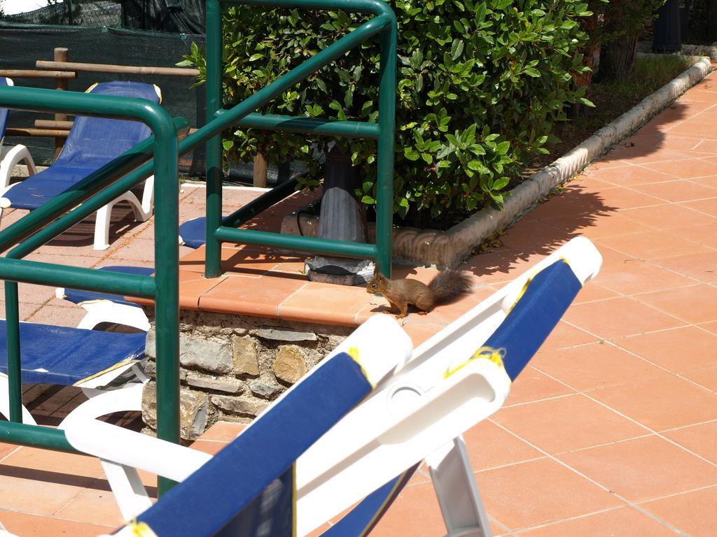 Camping Village Panoramico フィエーゾレ エクステリア 写真